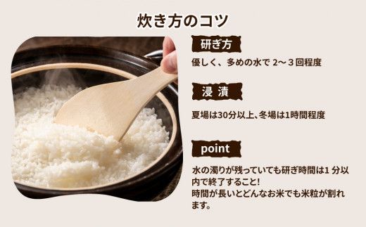 令和7年産米 精米5kg×2袋、計10kg　土浦市産コシヒカリ　ホタルが舞う里のお米◇