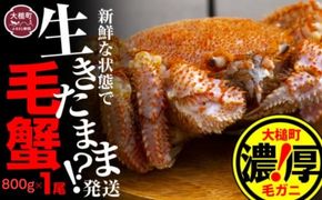 【令和9年発送】三陸産！活毛ガニ 800g×1杯【2027年2月〜4月発送】【配送日指定不可】【08】