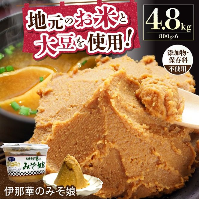 味噌 伊那華のみそ娘 みそ 800g×6個セット｜味噌 みそ 調味料 伊那 いな 長野県 ふるさと納税 大豆 お土産【029-09】
