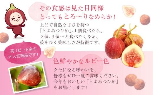 JAふくおか嘉穂 いちじく とよみつひめ 秀品 300g（3～5玉）×4パック 計1.2kg 【2026年8月上旬～10月下旬発送予定】