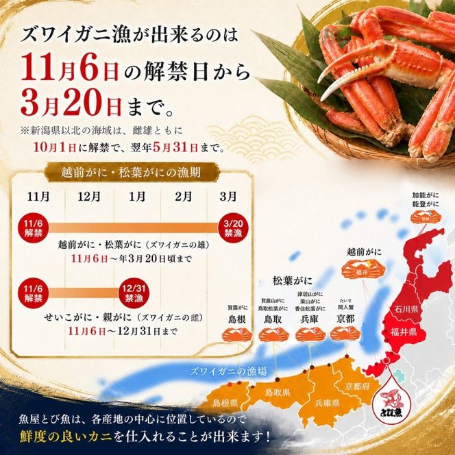 かに 年末配送 茹で 越前がに 約600g以上 1杯 ずわい蟹 ボイルカニ ボイル 魚介類