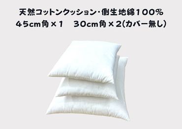 寝室やリビングをおしゃれに飾るベッドクッション(無地、カバーなし)[CW123SM]