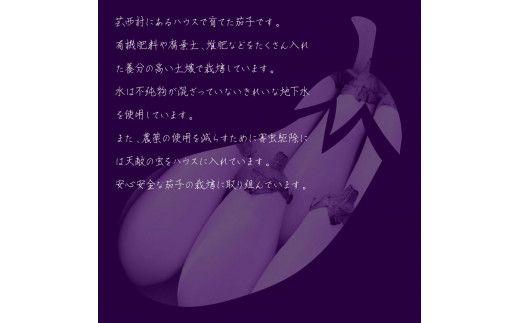 KYN003　先行予約 白ナス6本 - なす 茄子 1本180g以上 野菜 新鮮 美味しい グラタン シチュー ラタトゥイユ 洋食 和食 料理 お取り寄せ ふるさとのうぜい 故郷納税 6000円 返礼品 高知県 高知