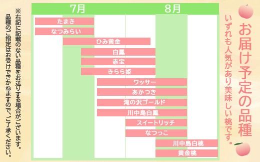 信州須坂 旬の桃 秀選 約2kg (約3～9玉) 《黒岩果樹園》■2025年発送■※7月中旬頃～8月下旬頃まで順次発送予定