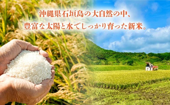 【石垣島産】日本最南端の日本一早い新米（清衛門）2kg×2袋