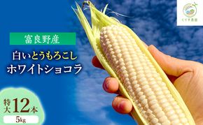 【2026年9月より順次発送】北海道富良野産白い"とうもろこし"「ホワイトショコラ」　特大12本（約5kg）