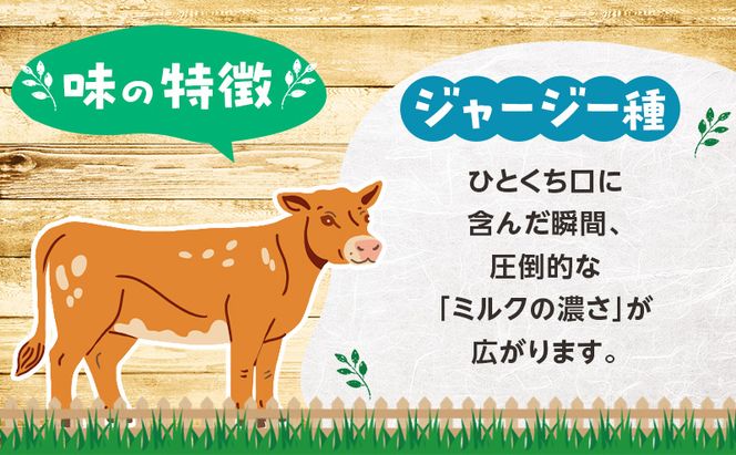 のむヨーグルト 生乳100%使用 500ml×6本 北海道産 ジャージー種 [i・ふぁーむ] 【 飲むヨーグルト 牧場直送 幕別 プレーン 濃厚 牛 朝食 】