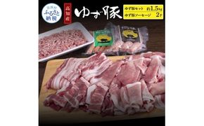 【CF-R7hbk】NIN009　なはりゆず豚セット1.5kg＋ゆず豚ソーセージ2P - バラ ロース モモ ひき肉 ソーセージ フランクフルト 豚肉 国産 詰め合わせ 冷凍 料理 おうちごはん 個包装 21000円 高知県産