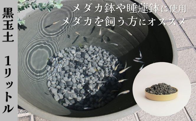 【バクテリアが多く住める多孔質ろ材】黒玉土１リットル めだか鉢 金魚鉢 メダカ 鉢 陶器 睡蓮 多孔質土 H100-108