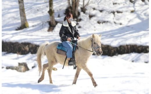 里山で乗馬体験（馬のブラシがけと乗馬でむらをお散歩）1人から5人まで可能【055-12】｜馬 乗馬 乗馬体験 体験 散歩 うま 動物 里山 長野県 伊那市 信州
