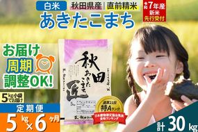 【白米】＜令和7年産 新米予約＞ 《定期便6ヶ月》秋田県産 あきたこまち 5kg (5kg×1袋)×6回 5キロ お米【お届け周期調整 隔月お届けも可】 新米|02_snk-010306s