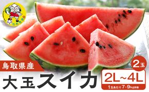 【先行予約】鳥取県北栄町産 大玉スイカ(2玉セット)１玉あたり7-9キロ前後2L-4Lサイズ（こちらの返礼品は、大栄西瓜ではありません） 313726_CK009