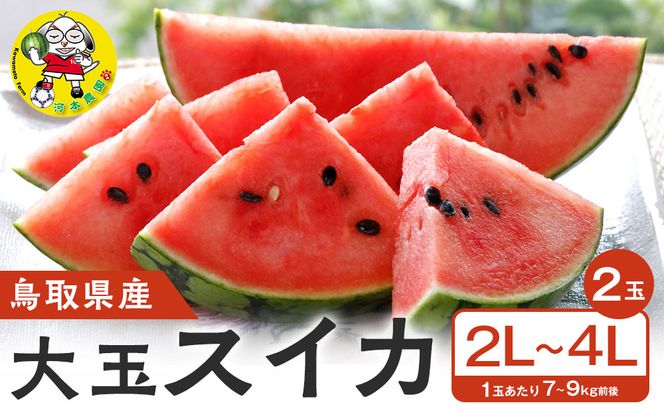 【先行予約】鳥取県北栄町産 大玉スイカ(2玉セット)１玉あたり7-9キロ前後2L-4Lサイズ（こちらの返礼品は、大栄西瓜ではありません） 313726_CK009