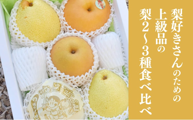 【2026年先行予約】量より質！桃と葡萄と梨の上級品が届く岡山果物便！３回便(定期便) (岡山県産) 【KF-T024-04】