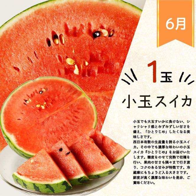 〈定期便〉【6・8・10・12月 全4回】紀州和歌山産旬のフルーツセット(スイカ・桃・ひらたね柿・みかん)