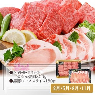 定期便(3回配送)鹿児島産A5等級黒毛和牛&黒豚 EE-6014 【1471286】