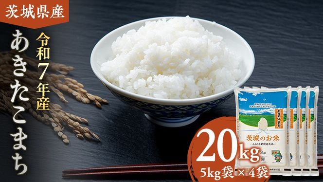 y錧}szy ߘa7NY z 錧Y ܂ 20kg ( 5kg × 4 )   R  錧  V  [DK019ci]