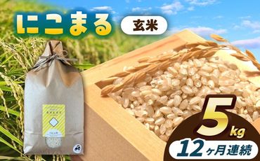 【12回定期便】にこまる　玄米　5kg　お米　ご飯　愛西市／株式会社戸倉トラクター[AECS069]