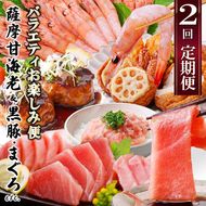 定期便2回配送　お楽しみバラエティ定期便(鹿児島県産黒豚・鮪etc) DD-6008 【1486572】