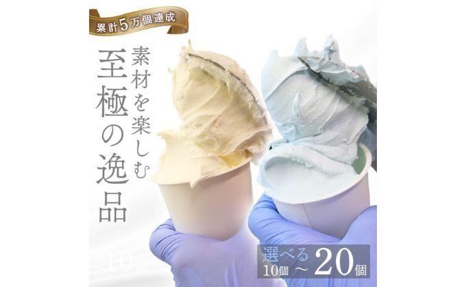 ジェラートセット ミルク 塩バニラ 10個 アイス アイスクリーム 詰め合わせ 家庭用
