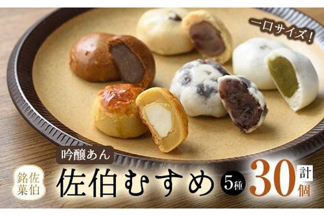 ひとくちまんじゅう 佐伯むすめ (計30個・5種×6個) 饅頭 饅頭 ひとくち 一口 薄皮 みそ 黒糖 抹茶 チーズ お菓子 スイーツ おやつ 焼き菓子 和菓子 詰め合わせ 個装 常温 大分県 佐伯市【AG96】【 (株)お菓子のウメダ】