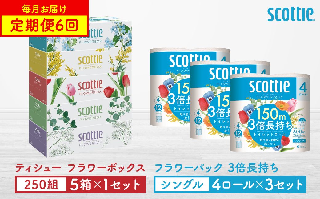 [定期便6回][毎月お届け][スコッティ] ティシュー フラワーボックス 250組(5箱パック×1セット)+フラワーパック 3倍長持ち(4ロール(シングル)4パック ×3セット) ティッシュ ストック