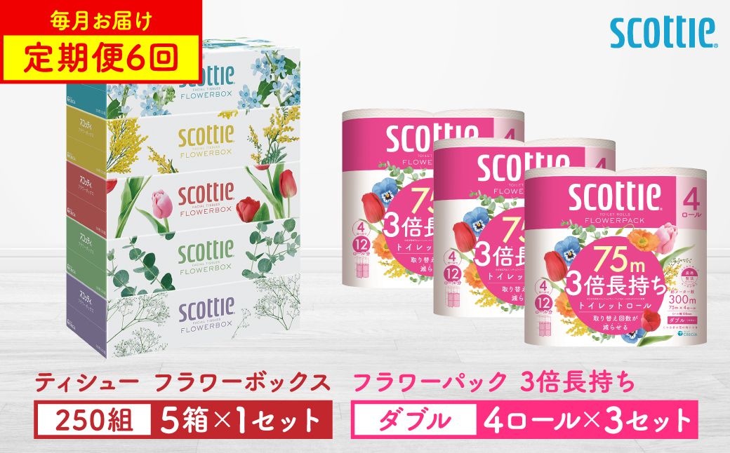 [定期便6回][毎月お届け][スコッティ] ティシュー フラワーボックス 250組(5箱パック×1セット)+フラワーパック 3倍長持ち(4ロール(ダブル)パック ×3セット) ティッシュ トイレットペ