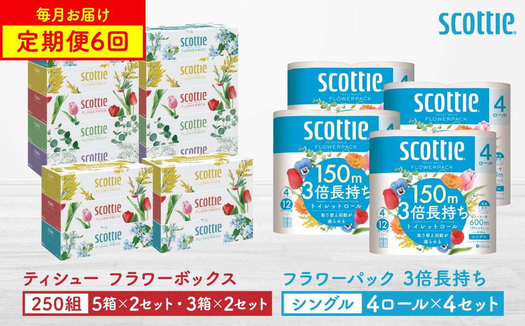 [定期便6回][毎月お届け][スコッティ] ティシュー フラワーボックス 250組(5箱パック×2セット・3箱パック×2セット)+フラワーパック 3倍長持ち(4ロール(シングル)パックx4セット)