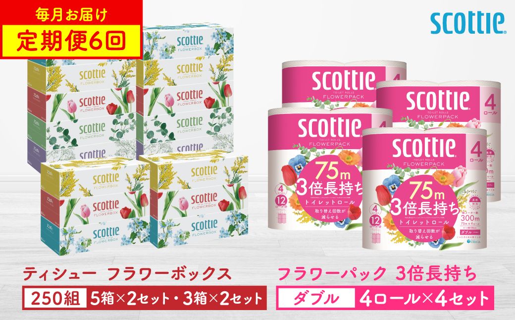 [定期便6回][毎月お届け][スコッティ]ティシュー フラワーボックス 250組(5箱パック×2セット・3箱パック×2セット)+フラワーパック 3倍長持ち(4ロール(ダブル)パックx4セット)