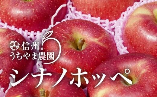 ほっぺたが落ちるほどに美味しい『シナノホッペ』 約5kg (約12～16玉)《信州うちやま農園》■2025年発送■※11月上旬頃～11月下旬頃まで順次発送予定