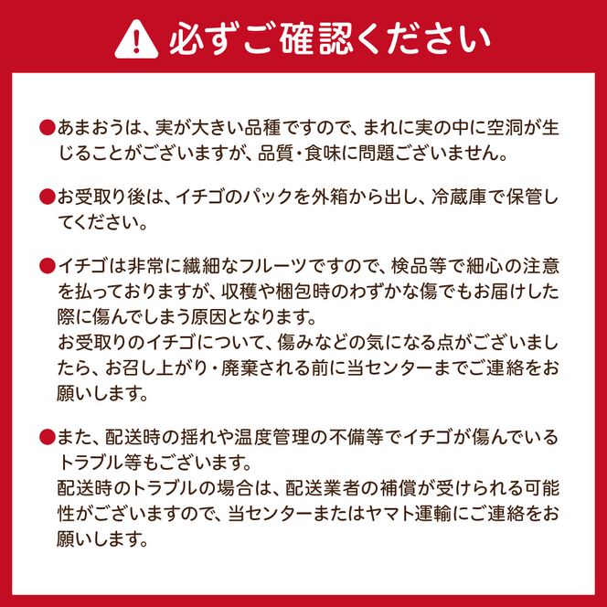 【先行予約】【アフター保証】 大粒セレクト！大人気のあまおう 約250g×2パック【2月中旬～3月発送】【JAほたるの里】_HA0277