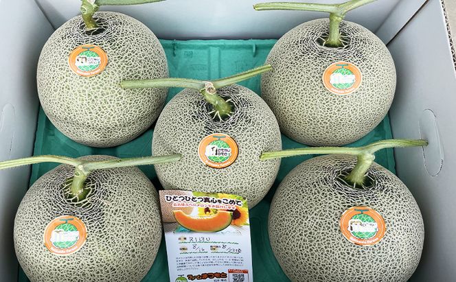 【2026年夏発送】厳選ふらのメロン 赤肉 5玉（8kg）糖度15度以上 [ファームまつもと] メロン 赤肉メロン フルーツ 果物 新鮮 甘い 贈り物 ギフト  ジューシー ブランドメロン 夏 北海道 富良野
