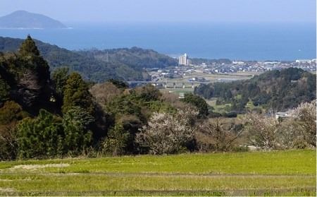 【 定期便 】福吉産 の お米 ＜6回コース＞ ヒノヒカリ 5kg  糸島市 / 二丈赤米産直センター [ABB013] 米 ひのひかり 無洗米