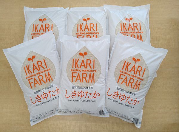 【7年産】すっごいもちもち「しきゆたか」白米定期便　6カ月で5kgを6回お届け（1カ月に1回）【C013W1】