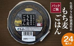 パックご飯 生姜プラス特別栽培米 もち麦ごはん 24個入り 静岡県 袋井市【離島配送不可】