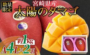 数量限定【2026年発送】＜宮崎県産 太陽のタマゴ A等級 4Lサイズ×2玉（合計約1kg）＞2026年4月上旬～6月末迄に順次出荷【 果物 フルーツ 太陽のタマゴ 太陽のたまご 完熟マンゴー マンゴ― 期間限定 先行予約 ギフト 贈答用 送料無料 】【a0259_ja】