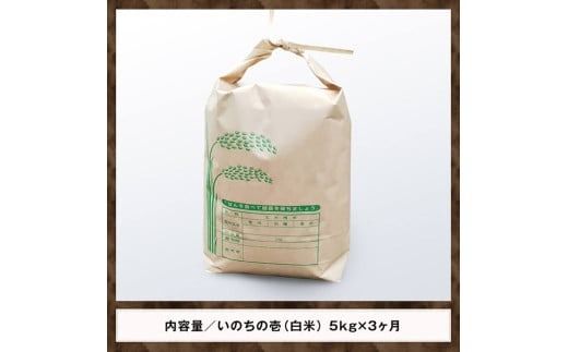 【3ヶ月定期便】【令和7年産】黒木農園のお米「いのちの壱(白米)」5kg 【 米 お米 白米 国産 宮崎県産 いのちのいち おにぎり 】 [D03227t3]