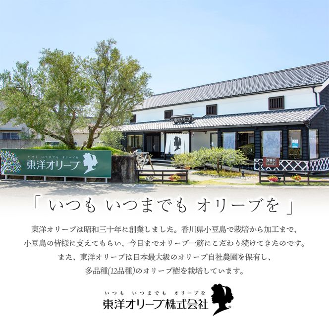 【 小豆島 】小豆島産 手延べオリーブパスタ 200g×6個セット オリーブパスタ 手延べ パスタ 小豆島 オリーブ 東洋オリーブ セット もちもち 麺類 パスタ 乾麺 