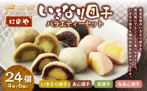 熊本上天草 にのやのいきなり団子バラエティーセット 4種×各6個 合計24個 いきなりだんご いきなり団子 だんご 団子 餡子 スイーツ お菓子 和菓子 おやつ デザート 冷凍 熊本県 上天草市