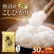 【令和8年産 先行予約】「3カ月定期便」食味鑑定士厳選！魚沼産こしひかり 30kg（5kg×6）×3回 米 コシヒカリ 定期 新潟県 十日町市