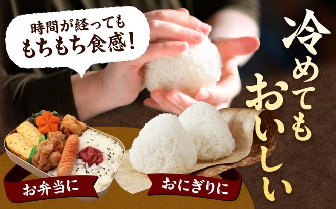 にじのきらめき 白米 5kg【配達不可：離島】/ 脇野コンバイン[AECP039-07]