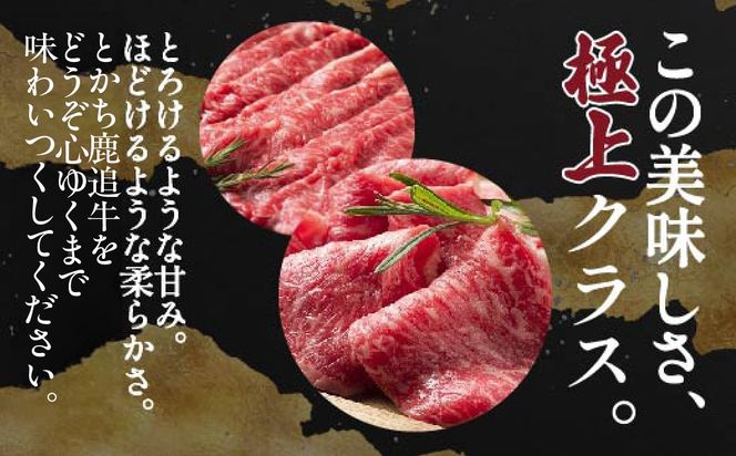 とかち鹿追牛　スペシャルセット 2,520g SKA018