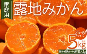 みかん 【2026年10月下旬発送】露地みかん(2S～Mサイズ) 5kg 家庭用 （傷み補償分 ＋約100g） - 果物 くだもの フルーツ 果実 柑橘 かんきつ 蜜柑 期間限定 om-0003