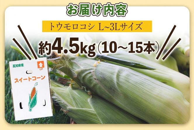 先行予約受付中！朝採れスイートコーン 約4.5kg（10～15本）- 野菜 とうもろこし とうきび トウキビ BBQ キャンプ 旬 おやつ 特産品 数量限定 季節限定 期間限定 sg-0009