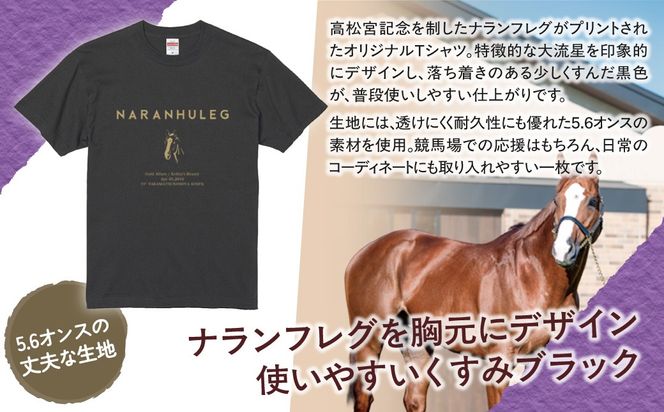【ナランフレグ】（燻みブラック）Ｔシャツ 選べる３サイズ BRTV350-v