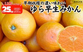 ゆら早生 みかん 箱込2.5kg (内容量2.3kg) SMLサイズのいずれか 秀品 優品 混合 有田みかん 和歌山県産 【みかんの会】［2026年10月下旬頃より順次発送予定］ AX362