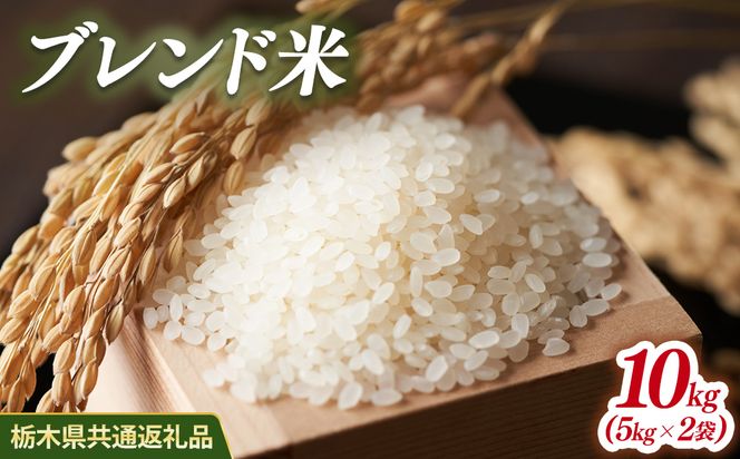 米 ブレンド米 10kg(5kg×2) 栃木県産【栃木県共通返礼品】