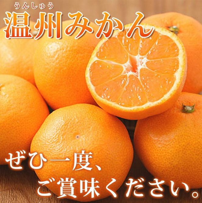 【ご家庭用訳アリ】紀州有田産温州みかん7.5kg【2025年11月下旬以降発送】【先行予約】【UT10w】 AN003