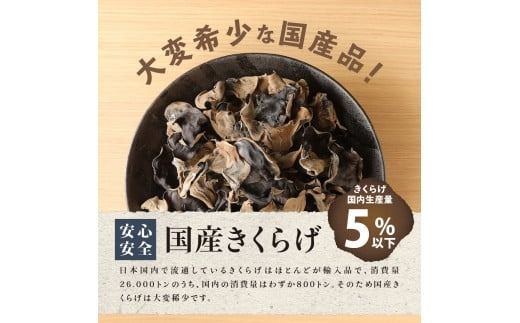 富士山の大自然が育てた「ふじやま きくらげ」(生きくらげ200g×2、乾燥きくらげ50g×2)