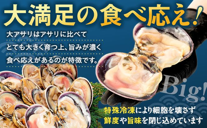 【限定寄附額】 大アサリ 半割 約1kg おおあさり
